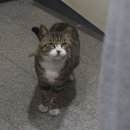 정선희한의원 이미지