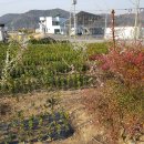 오성농원 이미지