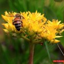 이종택농장 이미지