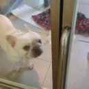 참 동물병원 이미지