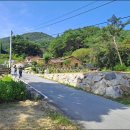 전원24마트 Daum카페