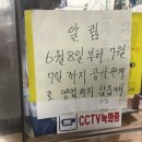 돌고래목욕탕 네이버블로그