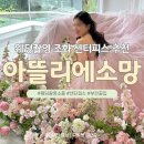 센터피스 추천｜웨딩촬영 조화센터피스 '아뜰리에소망' 대만족 후기 (셀프웨딩 필수템)