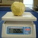 학의농장 이미지