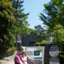 마가미술관 이미지