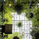 정원테크 이미지