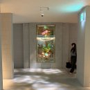 세계주류백화점 앞 | 프레스티지 라운지’ 동편 좌측, 라면도서관 후기 (feat. 대한항공 비즈니스 라운지, 주류, 음식, 샤워)