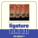 서울롱치과교정과치과의원 이미지