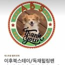 #댕댕댕 이미지