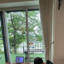 양평대반전 | 양평 두물머리 양식맛집 분위기 좋은 알로하오에 뷰,맛 완벽! 아이랑 방문!