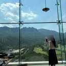 아미블로썸 | 강원도 고성 1박2일 여행 코스 추천 | 울산바위, 화암사, 능파대, 설악산, 맹그로브 고성, 봉포머구리집...