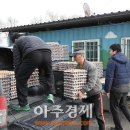 김영식농장 이미지