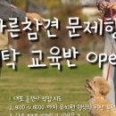 올바른참견 이미지