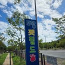 반려동물 테마공원 화장실 | 포항펫필드│반려동물 테마공원 반려견운동장 무료 포항애견카페 포항애견운동장 포항강아지카페 강아지...