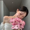 청도림 | 청도 독채숙소 셀프웨딩 촬영 청도림 내돈내산후기