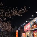 백두산양꼬치문덕점