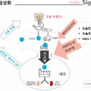 다이어트의 원리- 혈당을 낮게 유지하는데서 출발합니다. 이미지