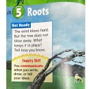 1-7 Roots 이미지