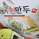 최영기손만두