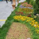 주리경로당 이미지