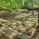 산양농장 이미지