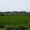 대림 떡방앗간 이미지