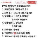 6월26일(일) 절정의 통영 수국여행(부산 트레킹여행클럽2080) 이미지