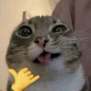 듀듀