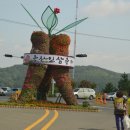 제33회 금산인삼축제 성료 금산지구협 알찬 마무리 이미지