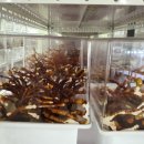 농업회사법인 웰빙주식회사 이미지