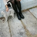 비앤비 아다지오 이미지