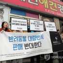 대전애견경매장 이미지