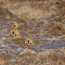 바른과학 이미지