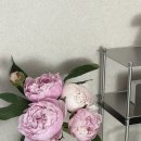피오니가든팜 작약생화꽃 후기ㅣ여름 작약으로 완성한 생화 인테리어