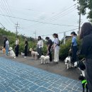 개토피아 이미지