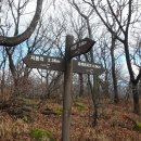 둔재수산 Daum카페