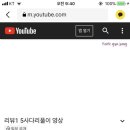 송민주 Daum카페