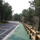 버스정류소_동부보건소 이미지