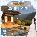 완주 한옥 펜션 I 스테이 리안 별채 &amp; 안채 내돈내산 후기