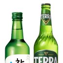 테라