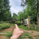 에덴카센타 이미지