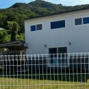 포메리카노 | 밀양애견펜션 밀양애견카페 포메리카노 내돈내산후기