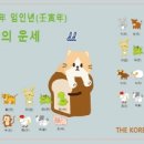 신비로-8 이미지