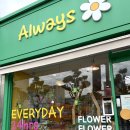 주공DC마트 | 올웨이즈 🌷| 동해 24시 무인 꽃집