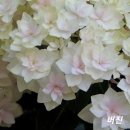유앤미 이미지