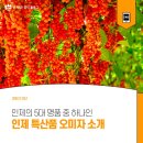 김순옥농장 이미지