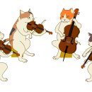 필하모닉 스트링 퀸텟 베를린 이미지