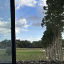 서귀고양이 이미지