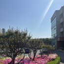 새봄요양병원 | ▶ 대전 요양병원 새봄요양병원이 알려드리는 어르신께서 요양병원에 잘 적응하는 방법 🙏