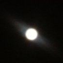 그린분식 이미지